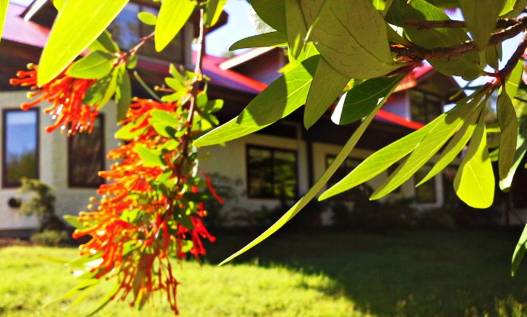 Hotel Salto Del Carileufu Pucon Exterior photo