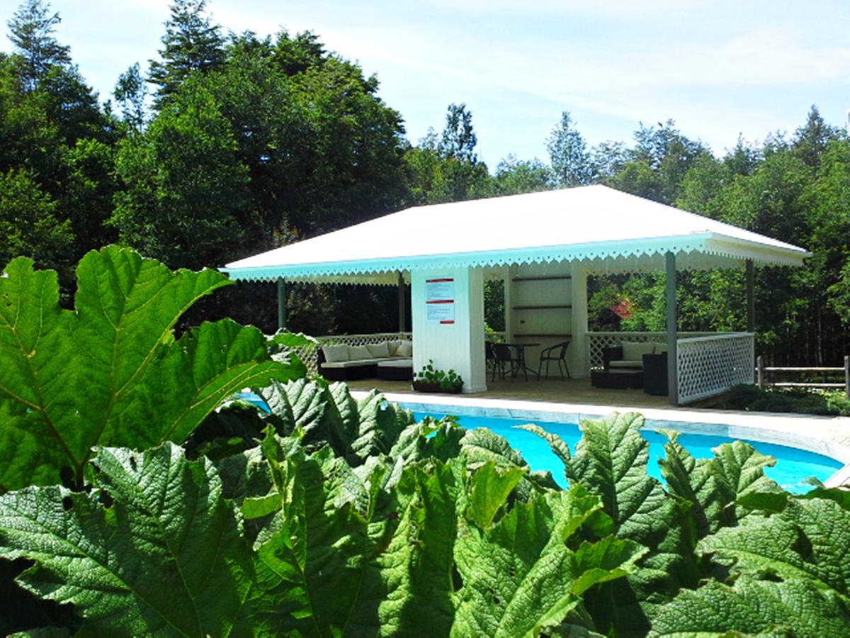 Hotel Salto Del Carileufu Pucon Exterior photo